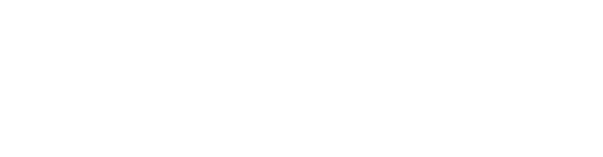 Sponsor